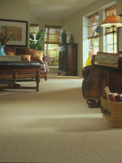 carpet flooring in lloydminster